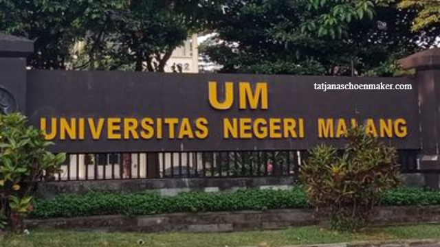 Jurusan Di Universitas Malang Paling Diminati!